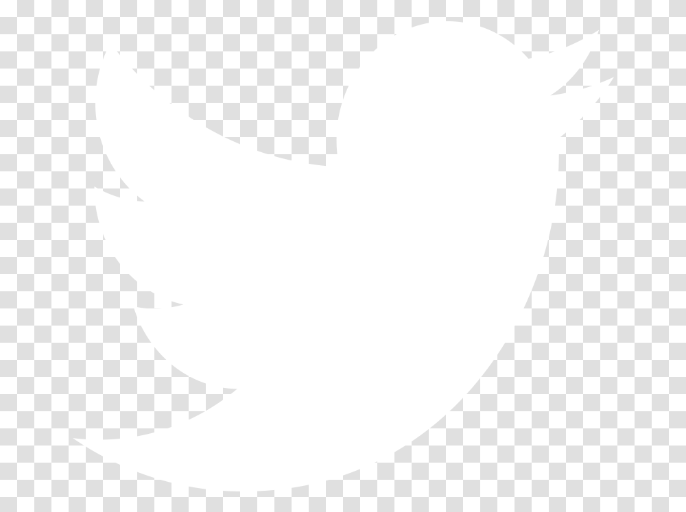 White Twitter Logo Vector, Stencil, Animal, Bird, Silhouette Transparent Png