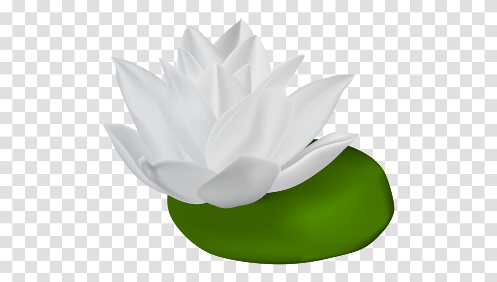 White Water Lily Clip Art Gallery, Plant, Rose, Flower, Blossom Transparent Png
