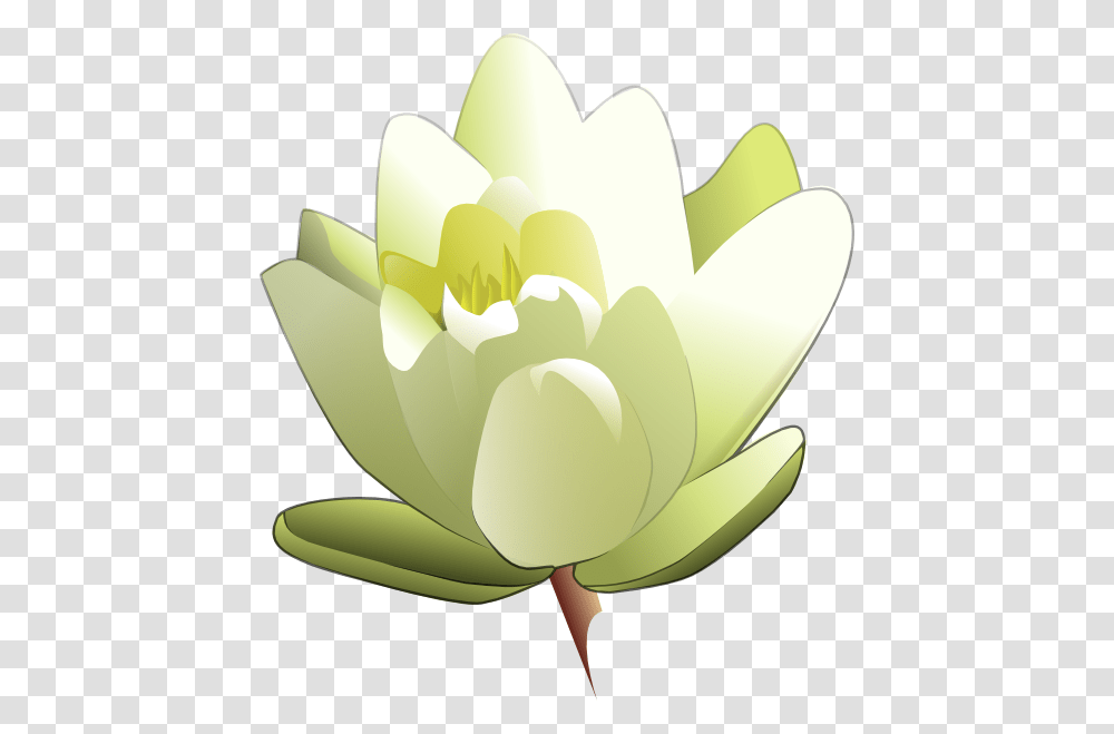 White Water Lily Clip Art, Plant, Flower, Blossom, Produce Transparent Png