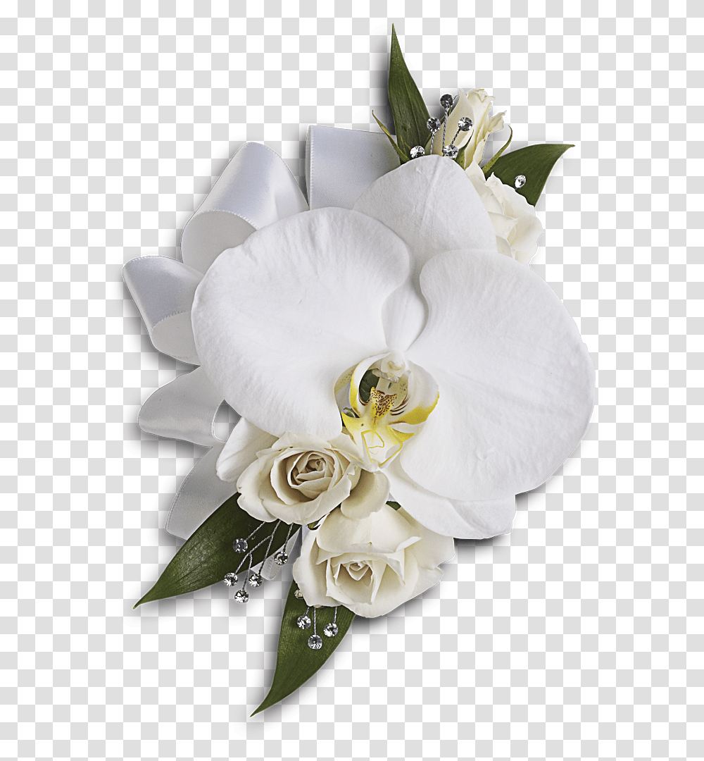 White Wedding Flowers Phalaenopsis Orchid Wrist Corsage, Plant, Blossom, Flower Bouquet, Flower Arrangement Transparent Png