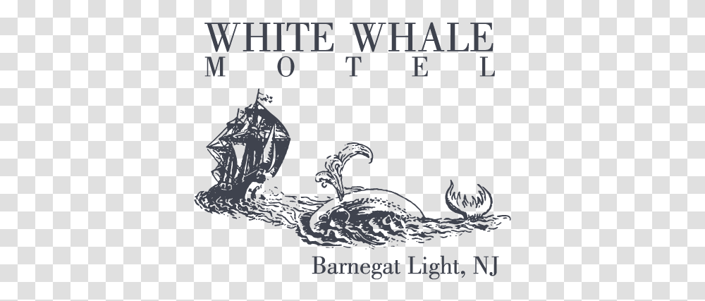 White Whale Motel Barnegat Light New Jersey Language, Poster, Advertisement, Text, Animal Transparent Png