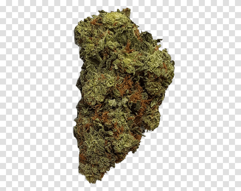 White Widow Premium, Plant, Weed, Moss, Mineral Transparent Png