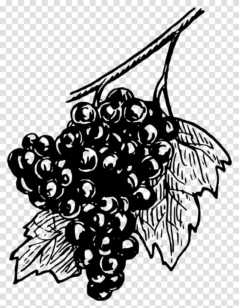 White Wine Grapes Black And White Wine Grapes Clipart, Gray, World Of Warcraft Transparent Png