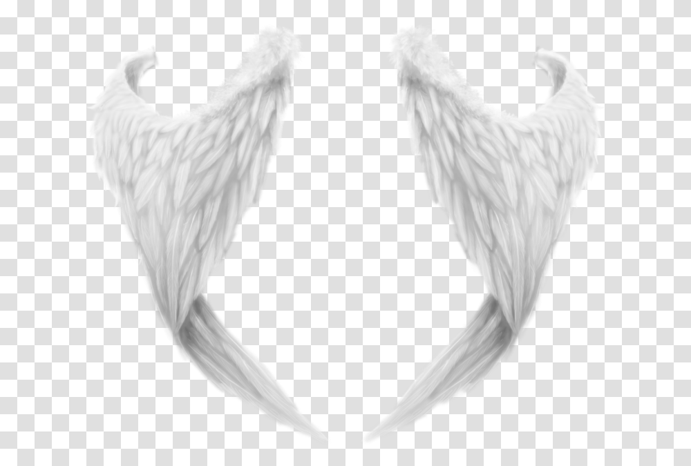White Wing, Animal, Bird, Poultry, Fowl Transparent Png