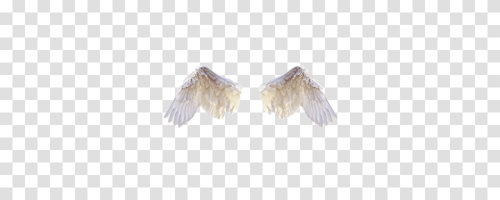 White Wings Animals, Cushion, Bird, Swan Transparent Png