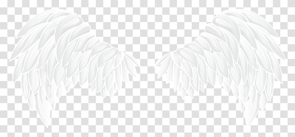 White Wings, Animal, Bird, Eagle, Texture Transparent Png