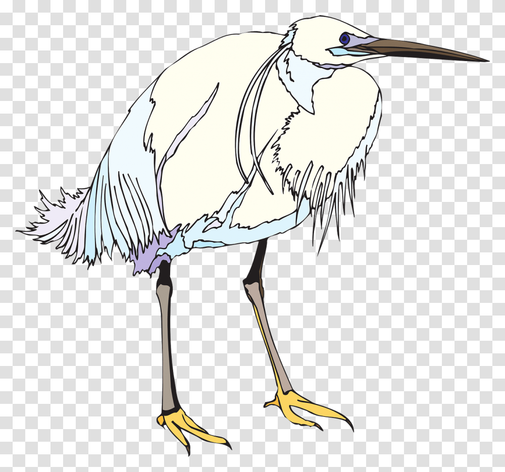 White Wings, Bird, Animal, Crane Bird, Stork Transparent Png