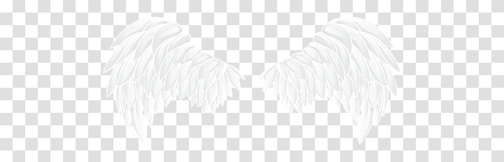 White Wings Clip Art, Bird, Animal, Texture, Eagle Transparent Png