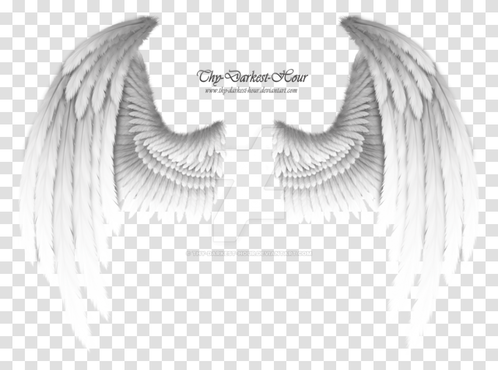White Wings Download Golden Angel Wings, Bird, Animal, Eagle Transparent Png