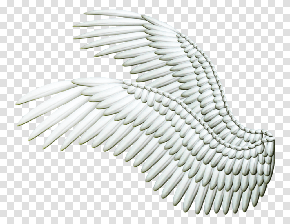 White Wings Image Silver Wings Background, Bird, Animal, Waterfowl, Flying Transparent Png