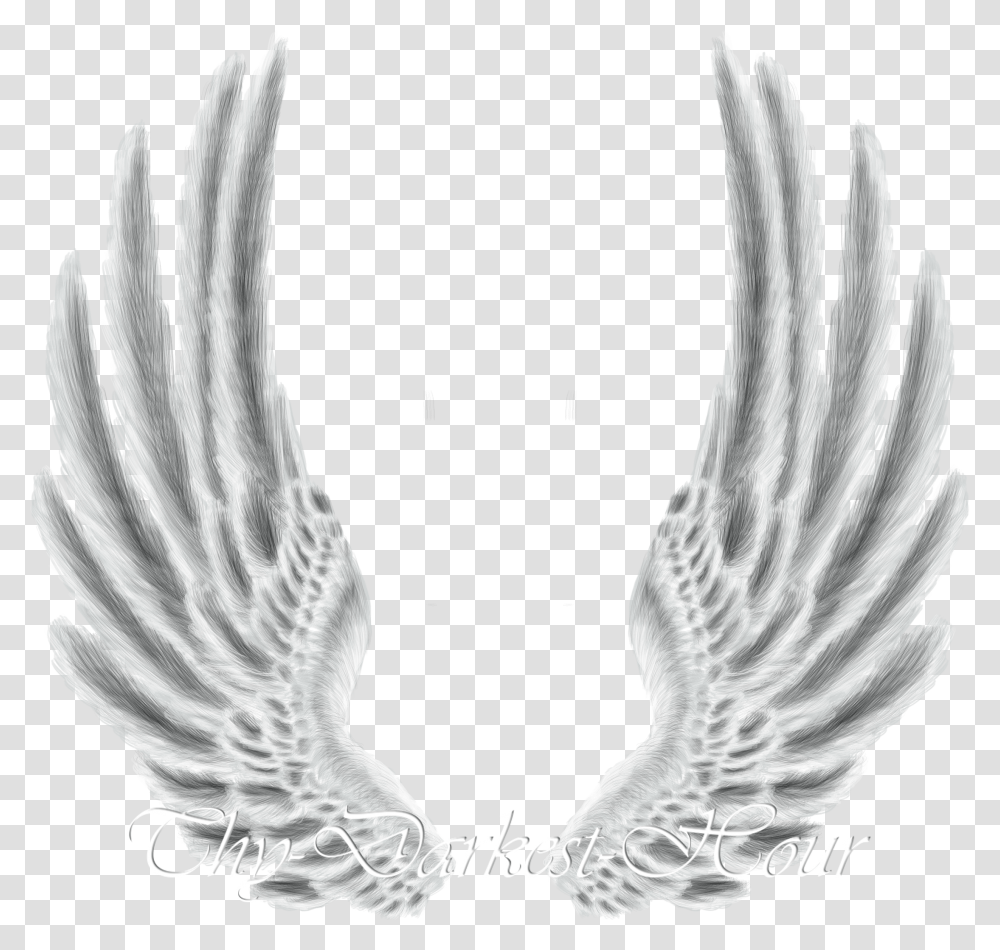 White Wings Metal Wings Hd, Bird, Animal, Emblem Transparent Png