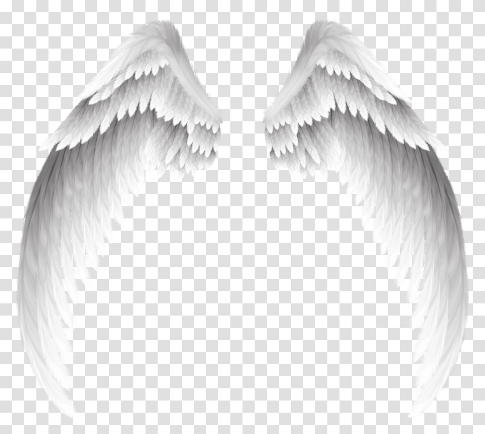 White Wings Swirls Decor Decoration Icon Icons Overlay White Wings, Art, Bird, Animal, Angel Transparent Png