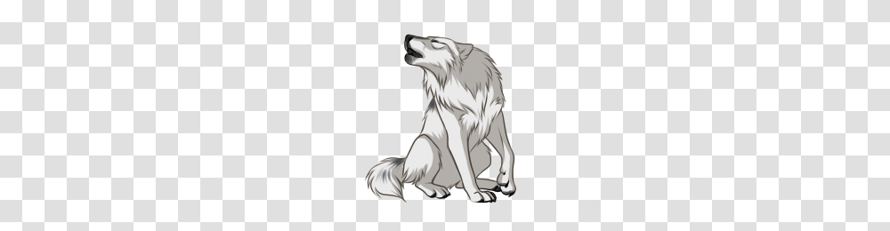 White Wolf, Animal, Mammal, Person, Human Transparent Png