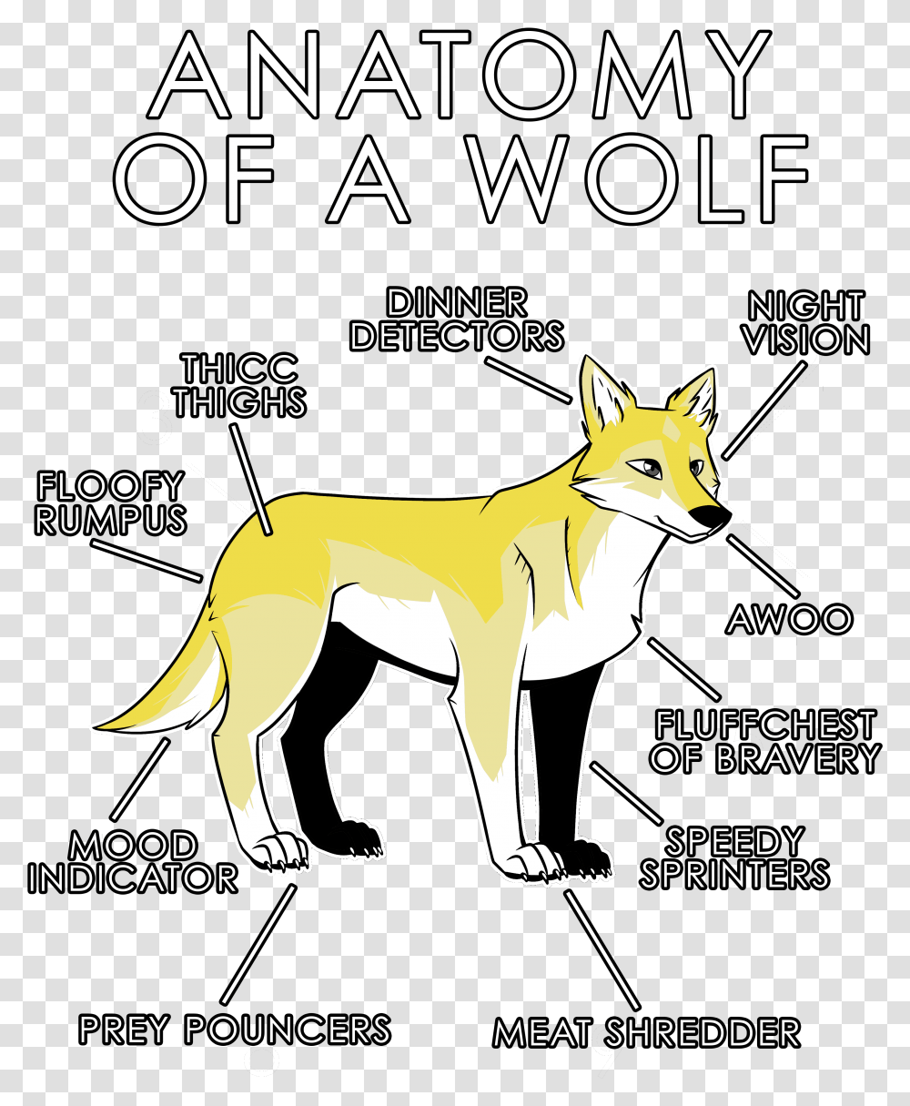 White Wolf Clipart Anatomy Wolf Yellow, Red Fox, Canine, Wildlife, Mammal Transparent Png