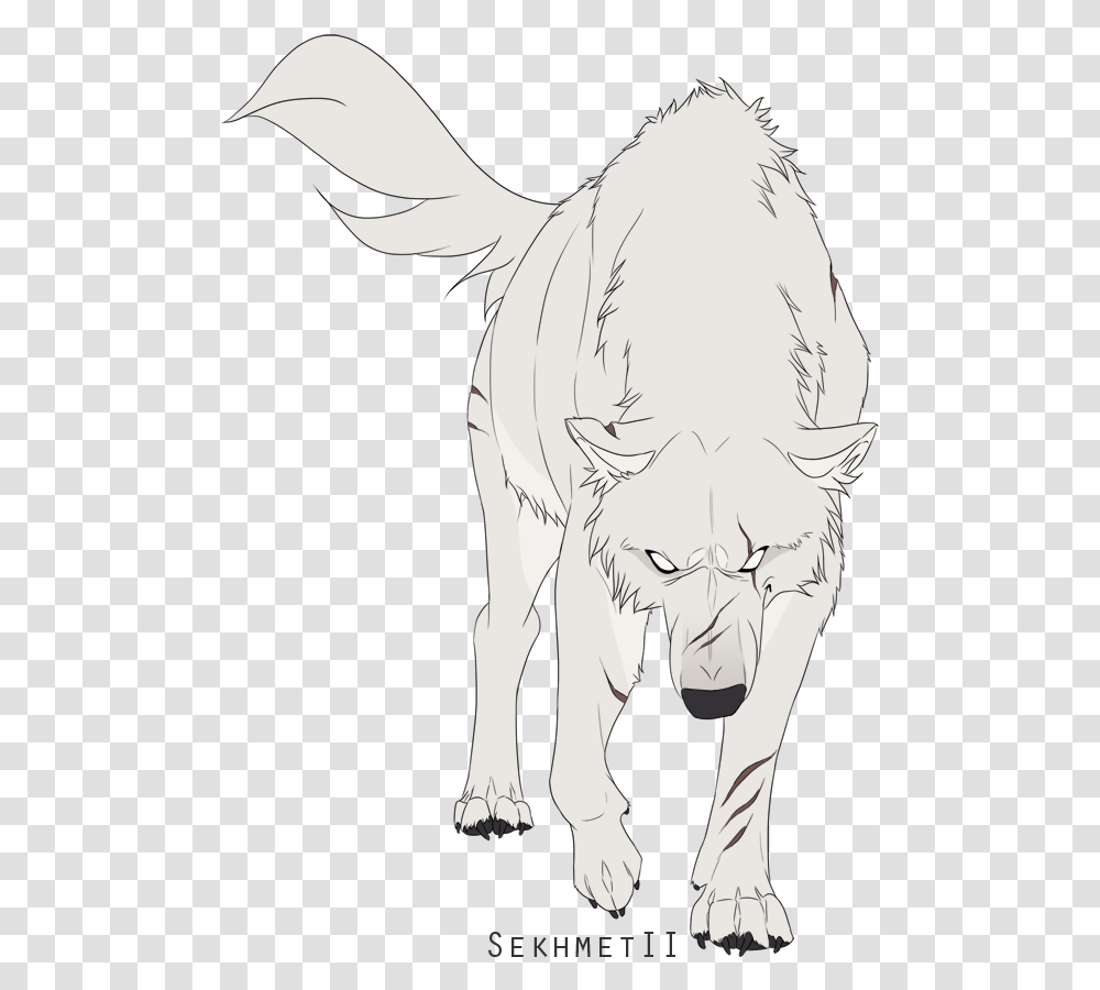 White Wolf Drawing Anime Anime White Wolf, Mammal, Animal, Person, Art Transparent Png