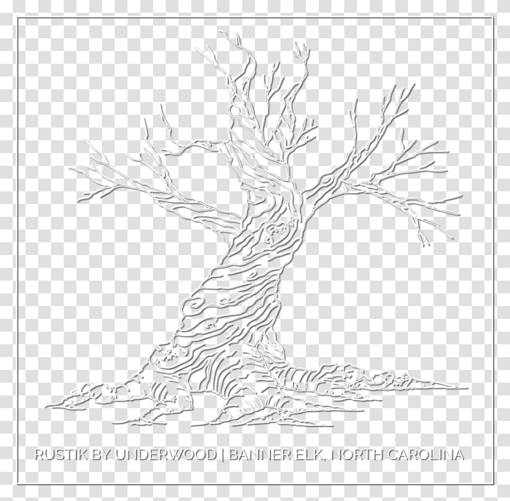 Whiteburn Shadow Sketch, Plant, Root, Tree, Wood Transparent Png