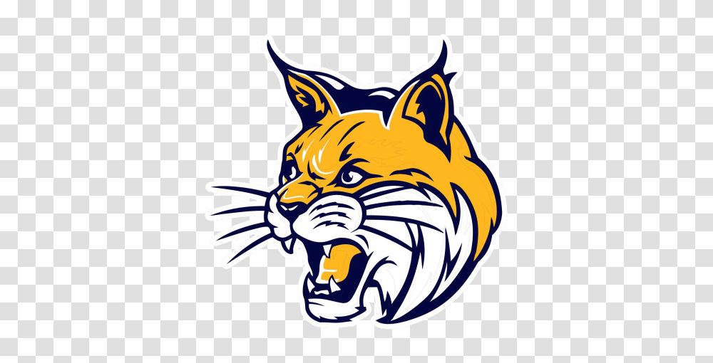 Whiteford Second In All Time Tcc Championships Whiteford Bobcat, Mammal, Animal Transparent Png
