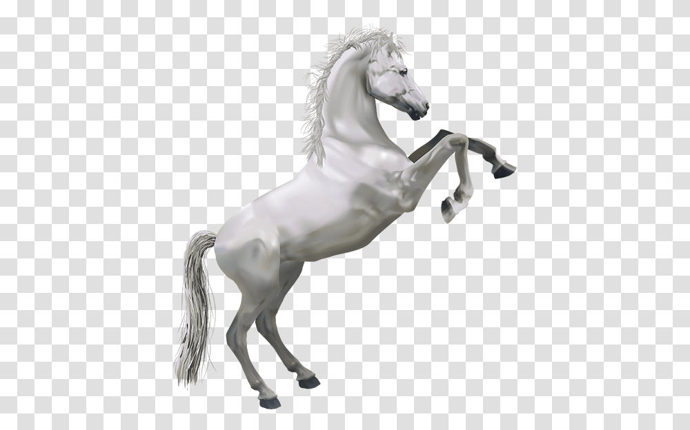 Whitehorsecarspa - Car Wash Detailing Lube Service Pegasus, Andalusian Horse, Mammal, Animal, Stallion Transparent Png