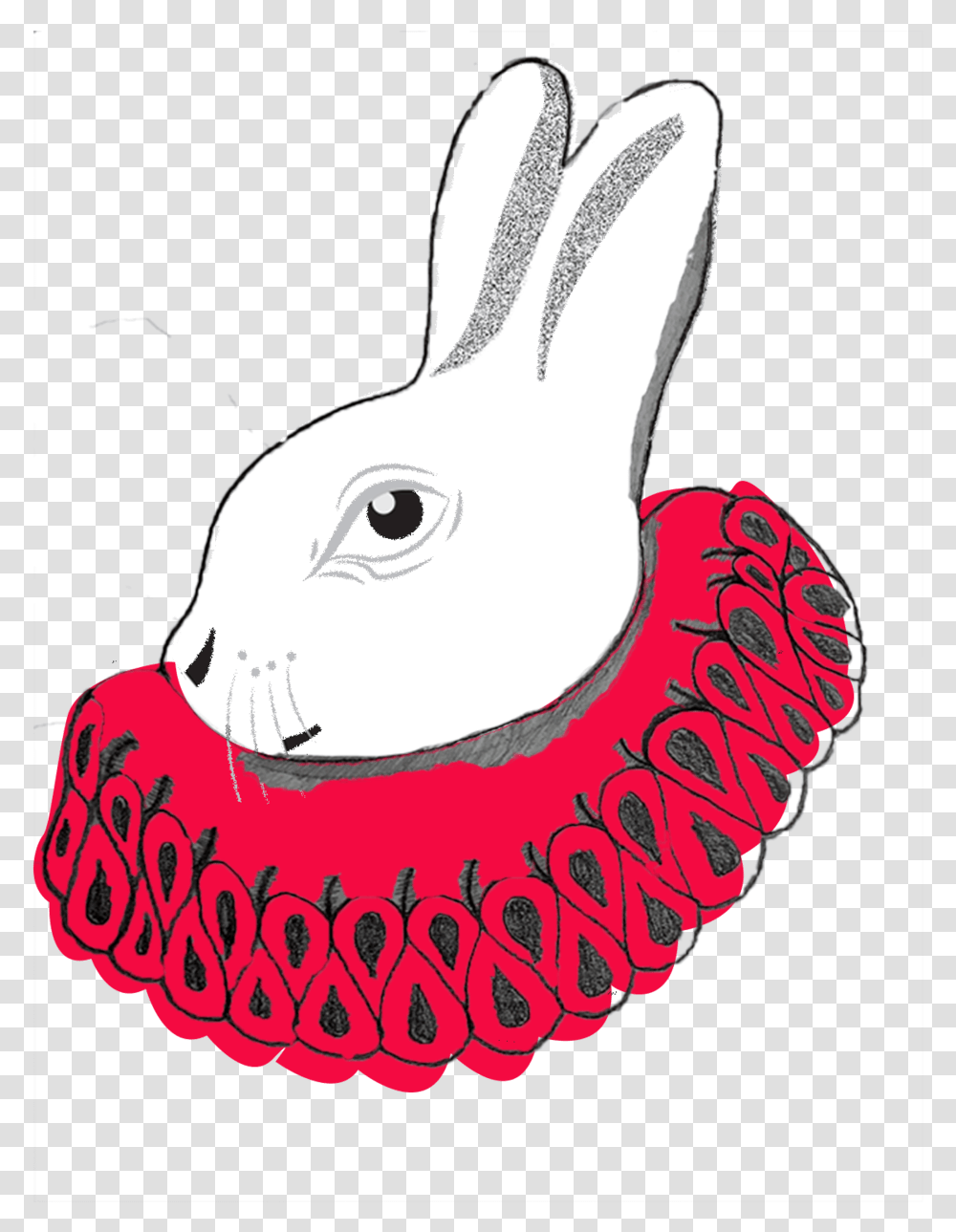 Whiterabbit Domestic Rabbit, Animal, Mammal, Rodent, Bunny Transparent Png