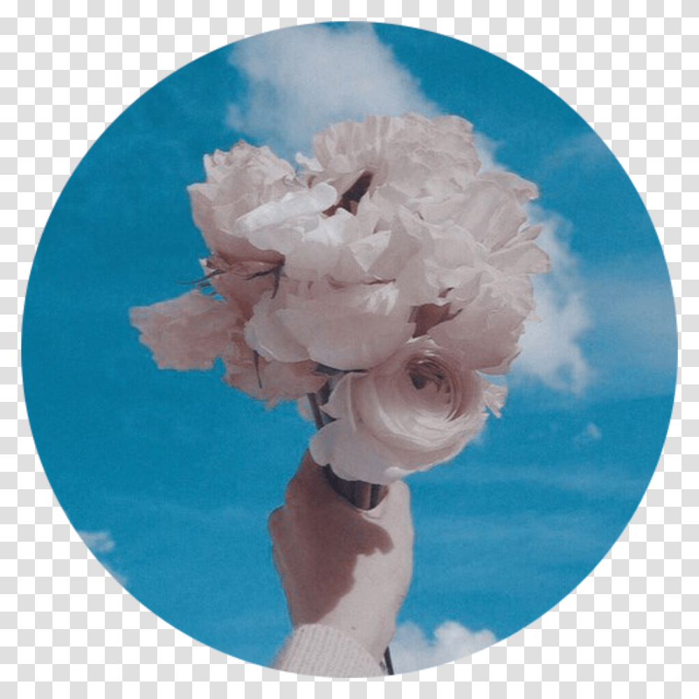 Whiterose Bluesky Aesthetic Background Tumblr Roundobje Background Aesthetic Sky Blue Transparent Png