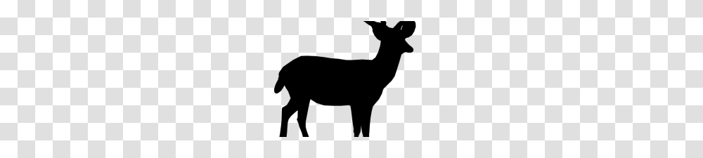 Whitetail Deer Clipart Deer Hunting Is Survival Hunting Or Sport, Gray, World Of Warcraft Transparent Png