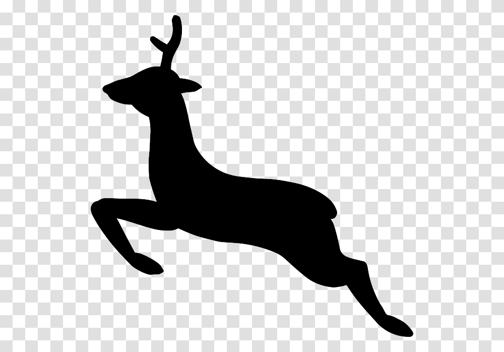 Whitetail Deer Clipart, Silhouette, Stencil, Mammal, Animal Transparent Png