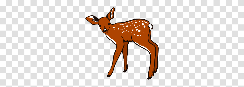 Whitetail Deer Cliparts, Mammal, Animal, Wildlife, Horse Transparent Png
