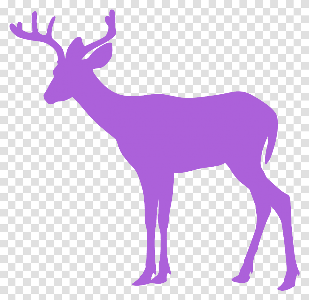 Whitetail Deer Deer Silhouette Clipart, Wildlife, Mammal, Animal, Antelope Transparent Png