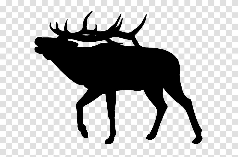 Whitetail Deer Tracks Clip Art, Animal, Mammal, Wildlife, Moose Transparent Png