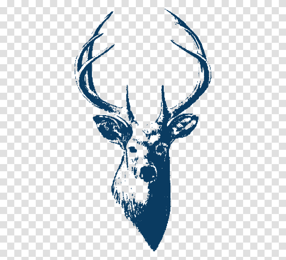 Whitfield Amp Ward Deer Head Vector Black And White, Antler, Mammal, Animal, Wildlife Transparent Png