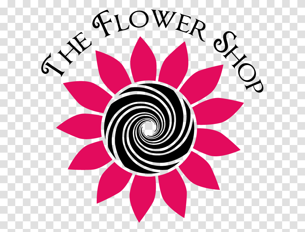 Whitinsville Florist Flower Delivery, Plant, Blossom, Daisy, Daisies Transparent Png
