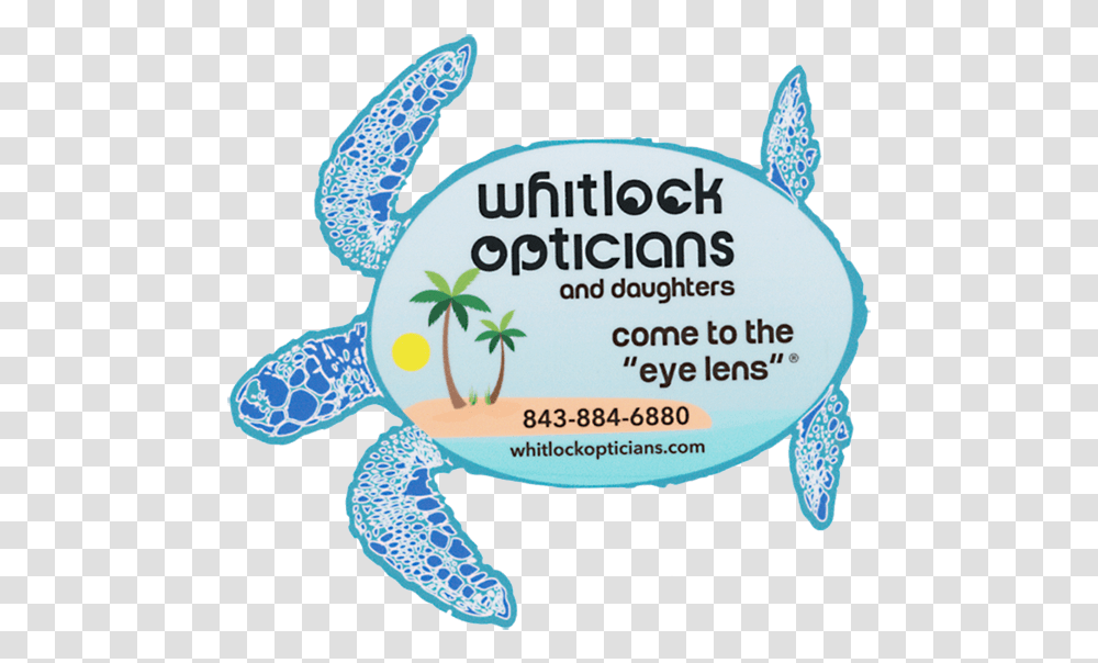 Whitlock Opticians Green Sea Turtle, Reptile, Sea Life, Animal, Tortoise Transparent Png