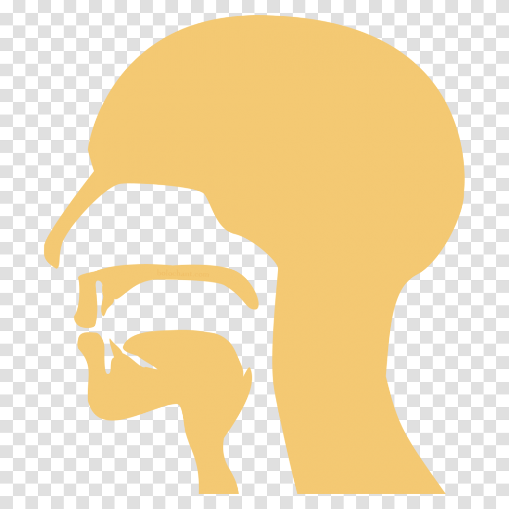 Who Have Illuminated, Head, Face, Label, Cushion Transparent Png