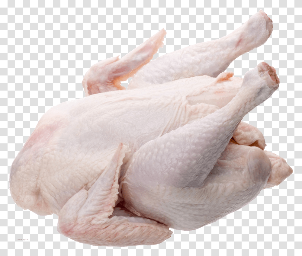 Whole Chicken Broiler Chicken, Poultry, Fowl, Bird, Animal Transparent Png