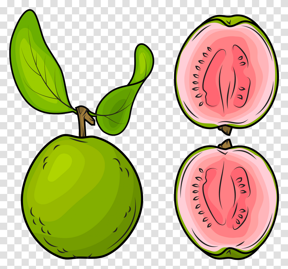 Whole Guava And A Half Clipart Set Of Guavas Clipart, Plant, Fruit, Food, Watermelon Transparent Png