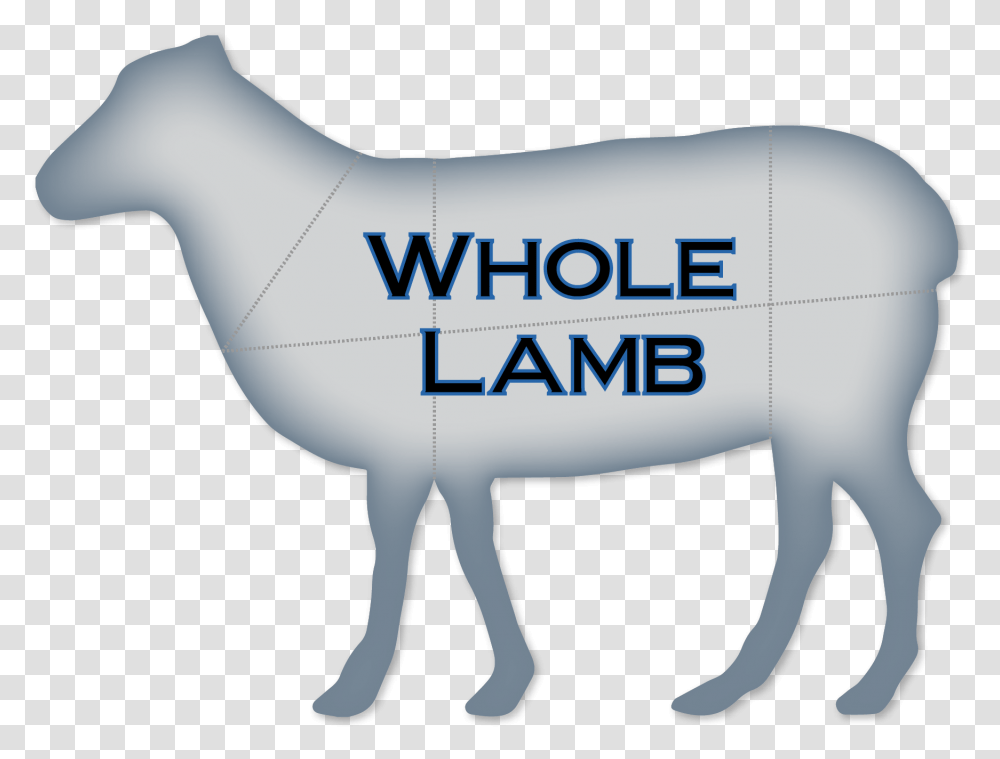 Whole Lamb Varning Fr, Mammal, Animal, Plot Transparent Png
