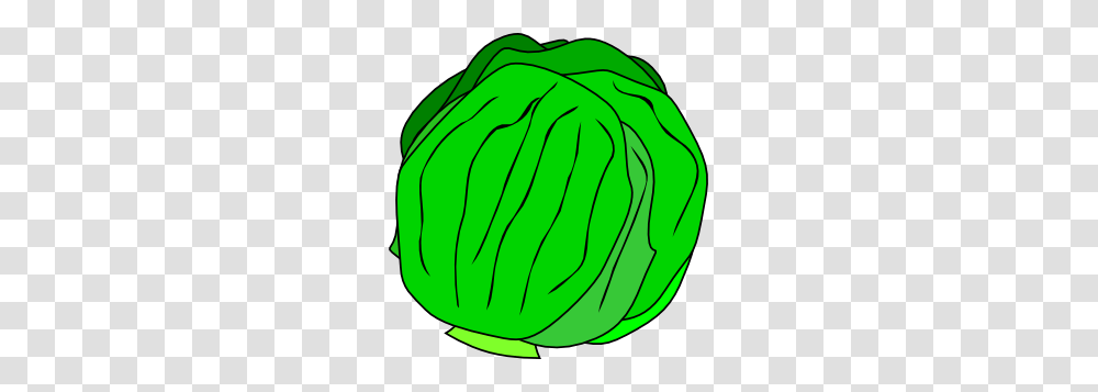 Whole Lettuce Clip Art, Plant, Head Cabbage, Produce, Vegetable Transparent Png