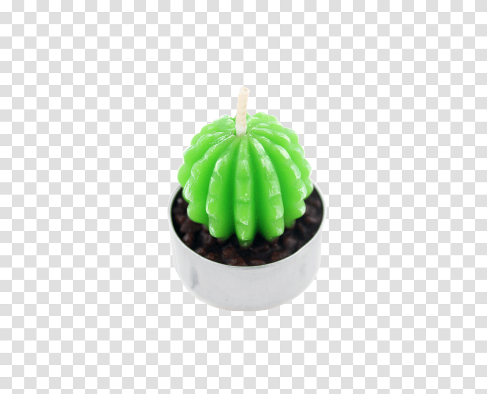 Wholesale Cute Shaped Cactus Candle Green Plant Candle Transparent Png