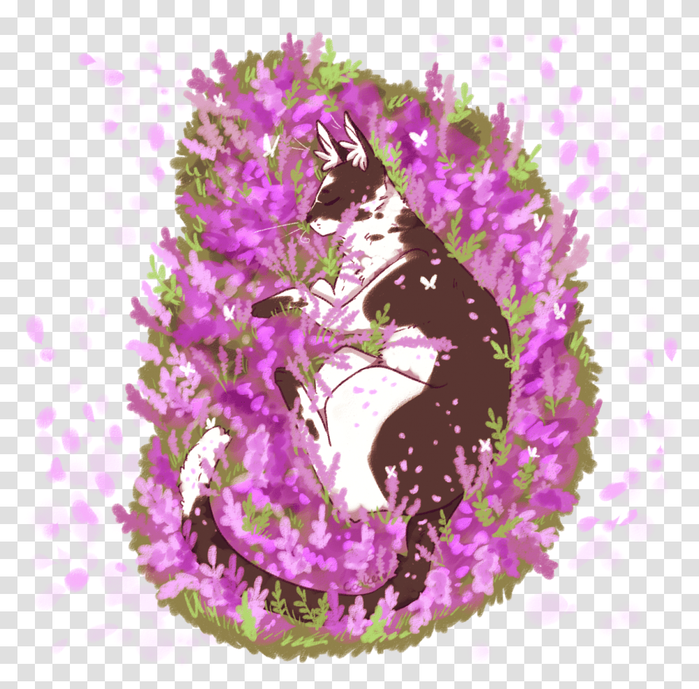 Wholesome Tall Boi Download Loosestrife And Pomegranate Family, Purple, Floral Design Transparent Png