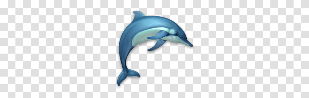 Wholphin Clipart, Dolphin, Mammal, Sea Life, Animal Transparent Png