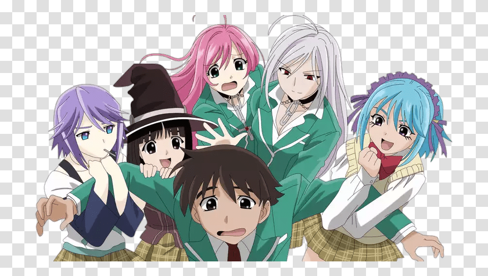 Why Are There So Many Harem Style Anime Where The Main Guy Rosario To Vampire Ss2, Comics, Book, Manga, Person Transparent Png