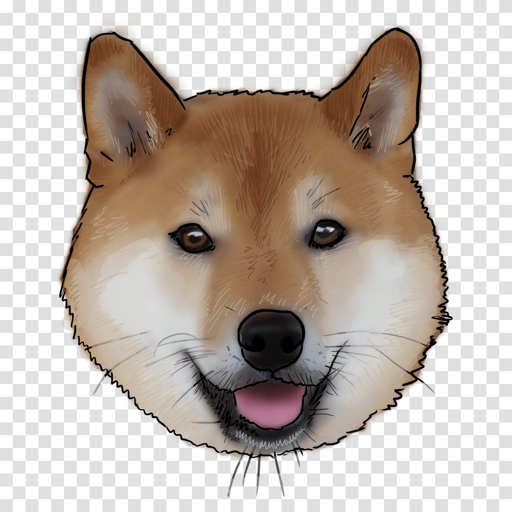 Why Are You A Dog, Snout, Husky, Pet, Canine Transparent Png