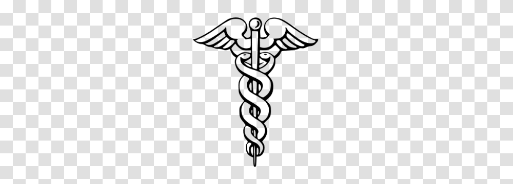 Why Caduceus Doesnt Belong In Your Branding, Cross, Chain, Emblem Transparent Png