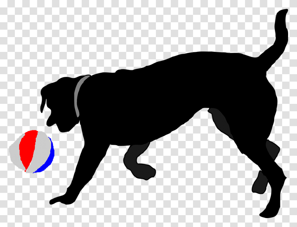 Why Do Dogs Chase People, Outdoors, Astronomy, Nature Transparent Png