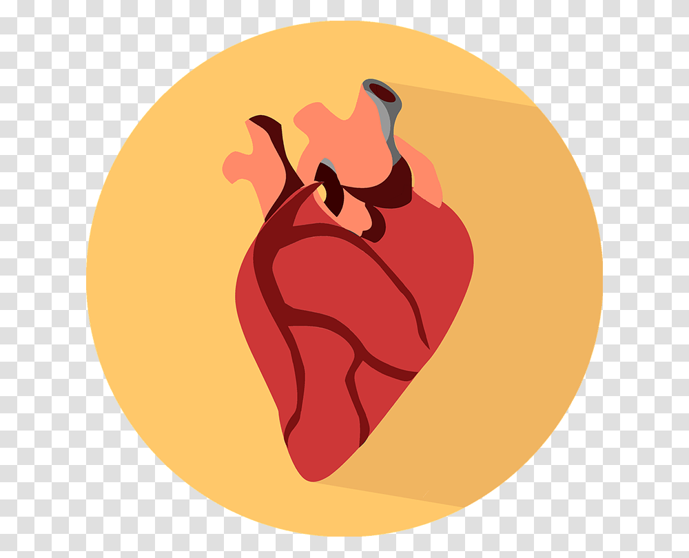 Why Heart Rate Rises & How To Lower It Skill Speed Power Human Heart Icon, Food, Plant, Pork, Text Transparent Png