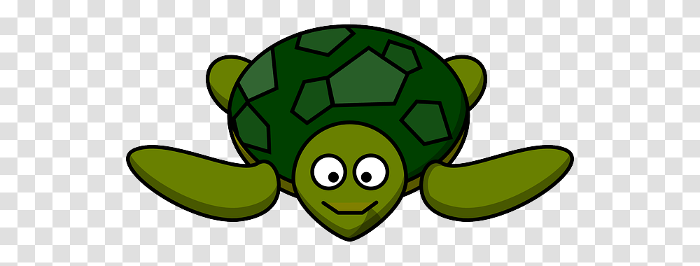 Why Is The Turtle Smiling, Green, Accessories, Accessory, Gemstone Transparent Png