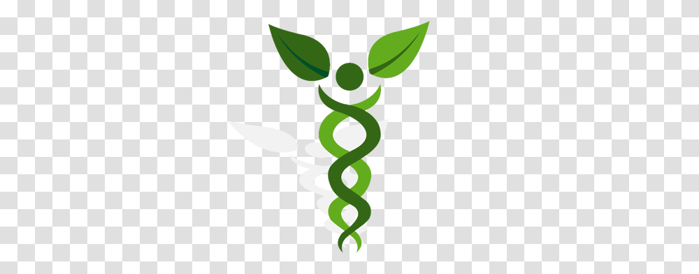 Why Medical Marijuana Patients Should Consider Cannabis, Green, Plant, Recycling Symbol Transparent Png
