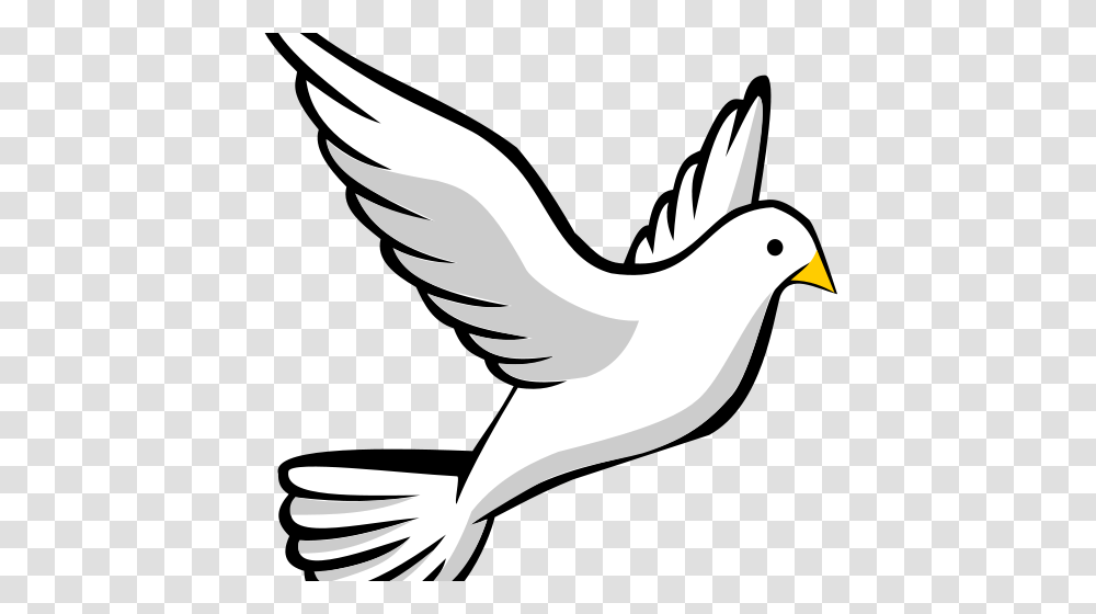 Why Pentecost Does Not Symbolize Return Of Christ, Bird, Animal, Flying, Sea Life Transparent Png