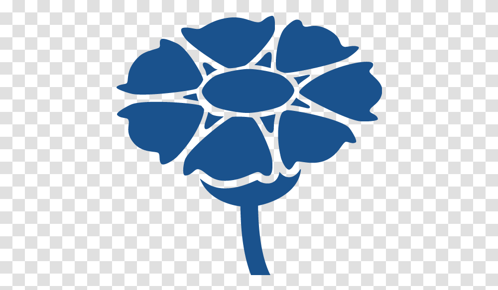 Why The Cornflower - Kornblume Decorative, Plant, Blossom, Painting, Art Transparent Png