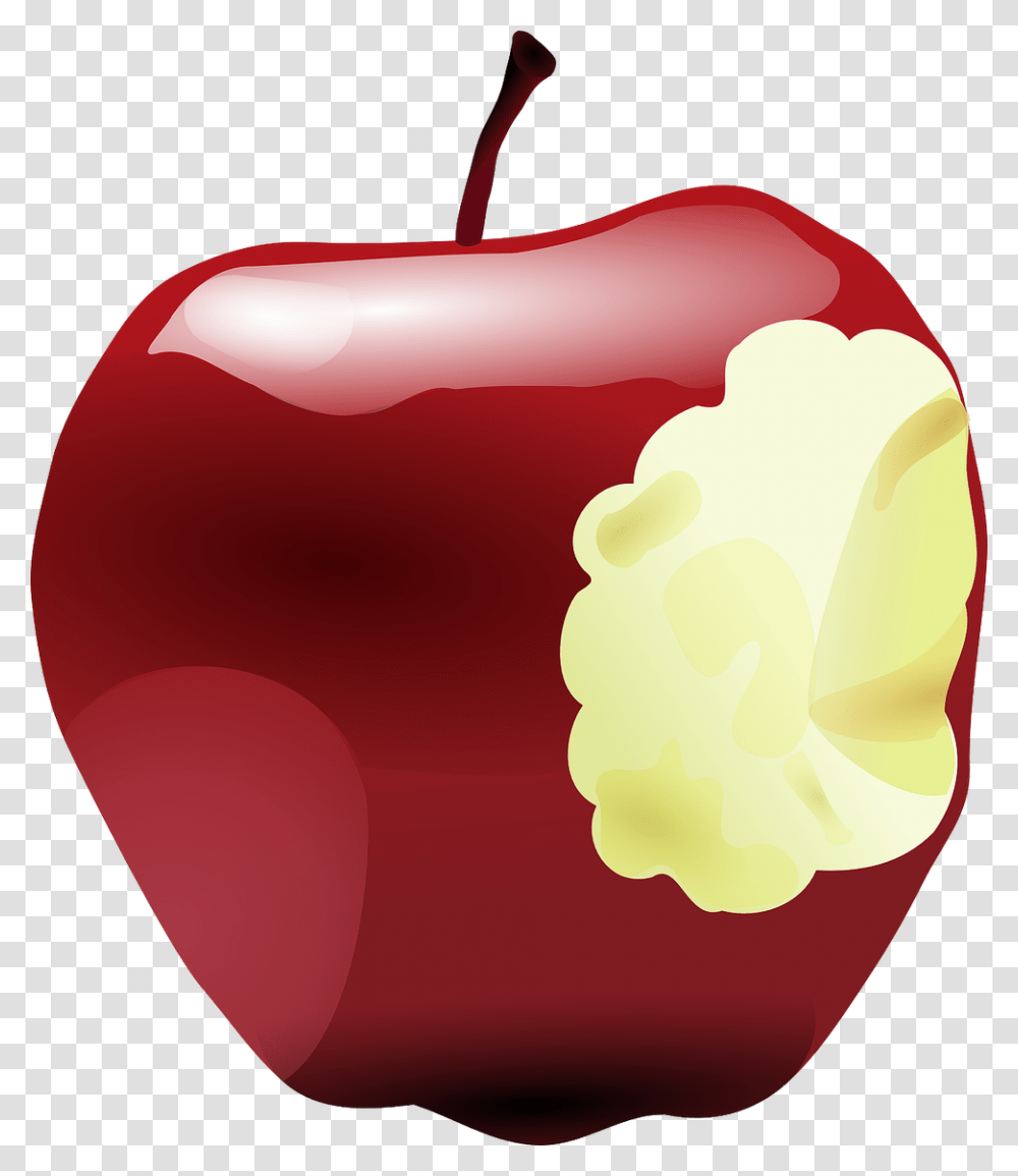 Why Weve Created The Progressive Education Fellows, Plant, Food, Fruit, Apple Transparent Png